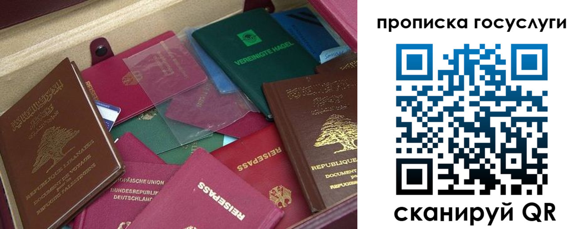 прописка гарантия в Хасавюрте